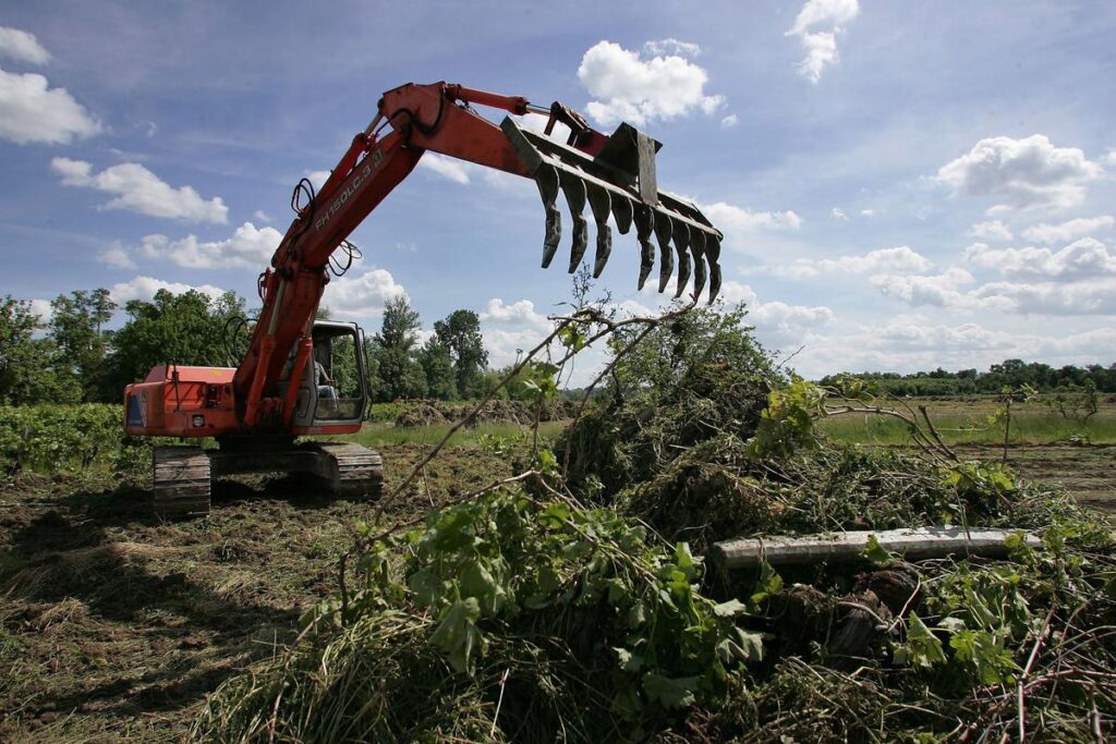 arrachage de vignes arrachage de vignes